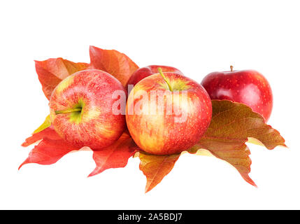 Apple Früchte mit Herbstlaub auf weißem Hintergrund Stockfoto