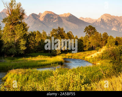 Mountain Stream durch Tal bei Sonnenuntergang. Stockfoto