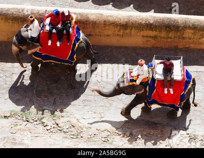 Elefanten arbeiten unter Touristen zum Fort Amber Palace Complex, Jaipur, Rajasthan, Indien. Stockfoto