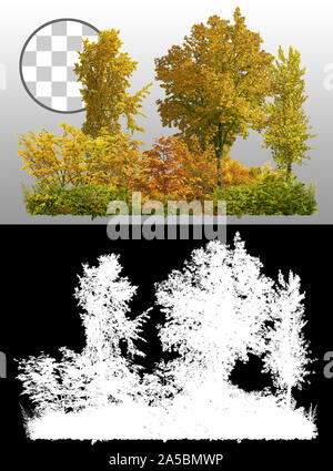 Baumgrenze für Ausschnitte. Im Herbst gelbe Bäume ausschneiden. Baumreihe und Sträucher im Herbst isoliert auf transparentem Hintergrund über einen Alphakanal. Forestscape Stockfoto