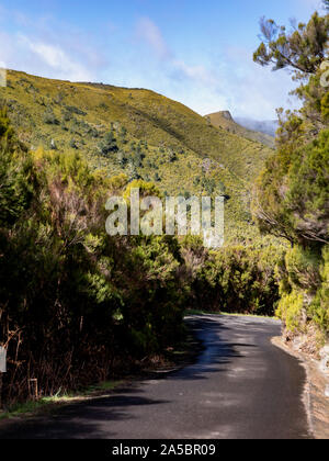 Levada do Risco, Anschluss an Risco Wasserfall, auf der Insel Madeira, Portugal Stockfoto