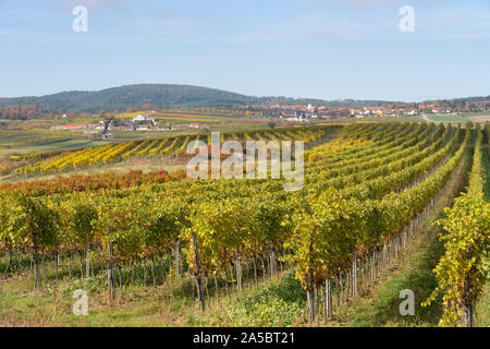 Ein Herbst Blick auf Mittelberg, einem Dorf umgeben von Weinbergen im Kamptal, Niederösterreich, eine beliebte Weinregion und Reiseziel umgeben Stockfoto