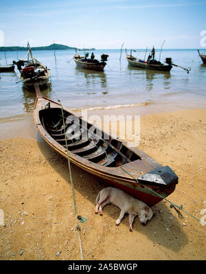 Thailand. Phuket. Hund schläft am Strand im Schatten der offenen Fischerboot. Stockfoto