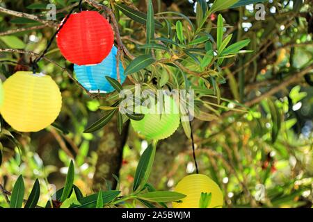 Farbe rund Laternen hängen an einem Baum im Garten Stockfoto