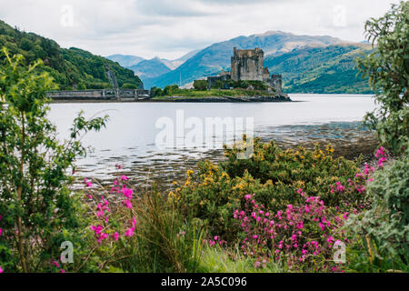 Sie spähte durch die Blumen in einem kühlen See im 13. Jahrhundert Eilean Donan Castle in Schottland, Vereinigtes Königreich Stockfoto