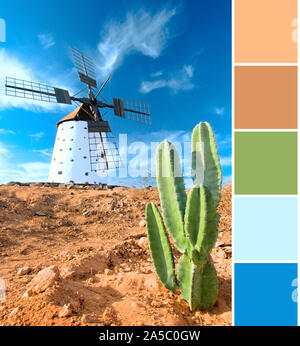 Farbanpassung ergänzende Palette von travel Bild des wilden Kakteen und traditionelle Windmühle auf Fuerteventura, Kanarische Inseln, Spanien Stockfoto