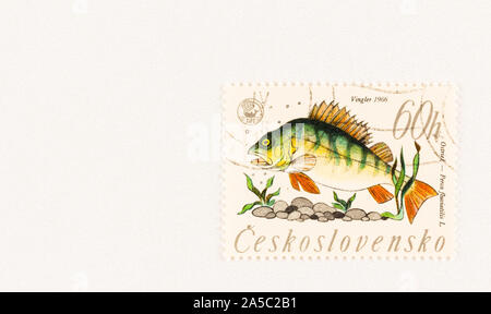 Europäische Barsch mit Felsen und Wasser Pflanzen auf den tschechoslowakischen Briefmarke 1966 ausgestellt. Scott #1381. Stockfoto