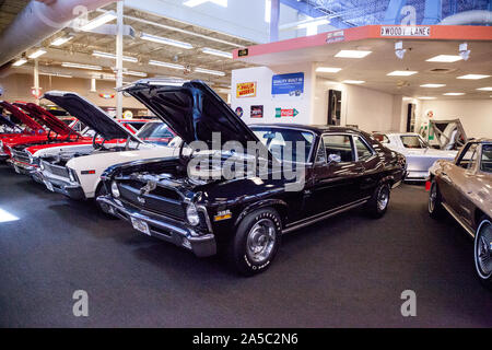 Punta Gorda, Florida, USA - Oktober 13, 2019: Schwarz 1970 Chevrolet Nova SS in das Muscle Car City Museum angezeigt. Redaktionelle Verwendung Stockfoto