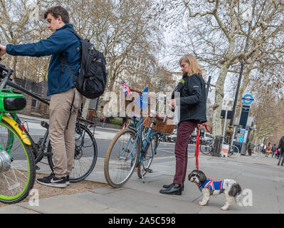 London/UK - 3 23 19: Brexit und anti-brexit Protest in London. Stockfoto