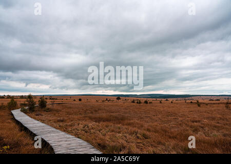 Moorlandschaft des Hohen Venns im Herbst, Belgien. Stockfoto