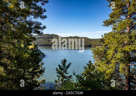 Pactola See ist der grösste Stausee in den Black Hills von South Dakota, der durch den Bau der Staumauer Pactola 1952 erstellt. Stockfoto