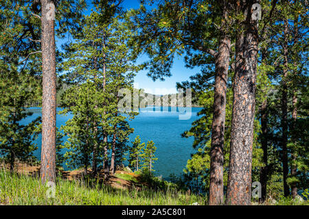 Pactola See ist der grösste Stausee in den Black Hills von South Dakota, der durch den Bau der Staumauer Pactola 1952 erstellt. Stockfoto