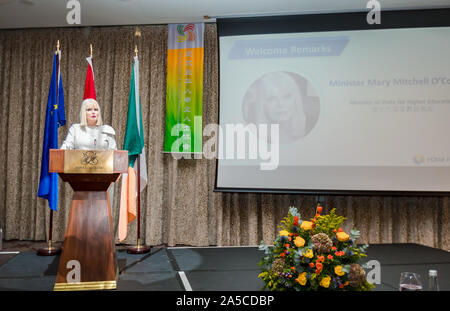 (191019) - Dun Laoghaire (Irland), Oktober 19, 2019 (Xinhua) - Irische Minister für Höhere Bildung Mary Mitchell O'Connor Adressen der Eröffnungssitzung des 11. Europa Forum, der von der Föderation der Chinesischen Professional Association organisiert in Europa (FCPAE) in Dun Laoghaire, einer Stadt am Meer südlich von Dublin, Irland, am Okt. 18, 2019. Die 11 Europa Forum schloss in Dun Laoghaire am Samstag. (Xinhua) Stockfoto