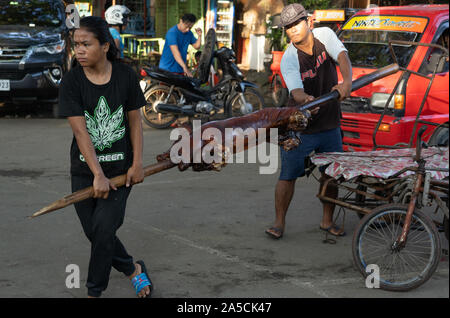 Gebratenes Schwein zu einem Straßenhändler in talisay City, Cebu. Als "Lechon Baboy" in den Philippinen bekannt geliefert werden Spieß, war einst gefeierten als "den besten Schweine je" von Starkoch, leider inzwischen verstorbenen, Anthony Bourdain. Als das Nationalgericht der Philippinen "Lechon baboy' ist einer der festen Favoriten mit Filipinos während des ganzen Jahres, besonders aber bei besonderen Veranstaltungen wie Geburtstage, Feste und Weihnachten, wo buchstäblich Hunderte von Tausenden von Schweinen geröstet werden. Der Provinz Cebu ist als das beste Lechon in den Philippinen. Händler der Gattungen haben ihre eigenen eng bewacht Stockfoto