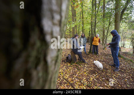 18. Oktober 2019, Rheinland-Pfalz Kümbdchen: Die Teilnehmerinnen und Teilnehmer eines Kurses in Waldbaden einen Text lesen. Waldbaden boomt auch in Rheinland-Pfalz. Die Achtsamkeit Übungen machen den Unterschied zu den klassischen Wald. (Zu dpa' werfen Blätter von hoher Qualität - Wald Baden wird Trend - Arzneimittel und Wellness Wald geplant") Foto: Thomas Frey/dpa Stockfoto