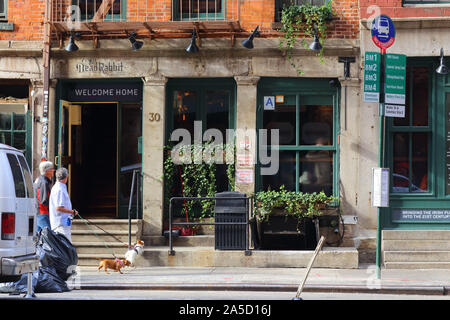 Die Toten Kaninchen Lebensmittelgeschäft und Grog, 30 Water Street, New York, NY. Äußere einer Bar in der bestehenden Fraunces Tavern Block Historic District in Lower Manhattan. Stockfoto