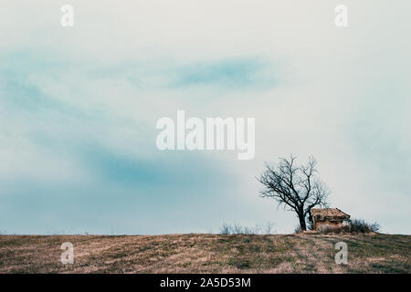 Kleine verlassene Landhaus auf einem Hügel. Blattlosen Baum mit bewölkten Herbstnachmittag Szene und. Stockfoto