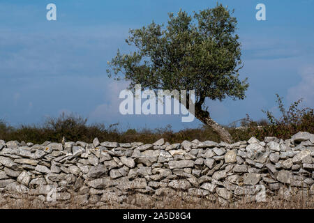 Traditionelle Steinmauer mit Steinen gemacht Stockfoto