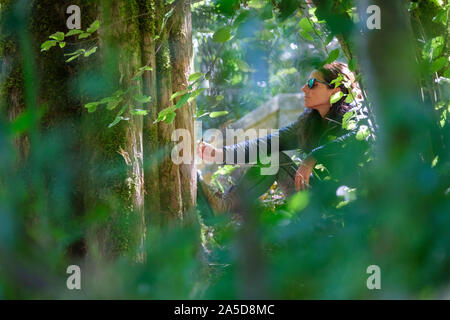 Frau mit geschlossenen Augen berühren einen Baumstamm Wald baden während einer Sitzung Stockfoto