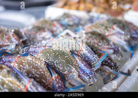 Krabben, die auf den Verkauf in der frische Meeresfrüchte Markt sind wunderschön. Frische Meeresfrüchte Meeresfrüchte Konzept Stockfoto