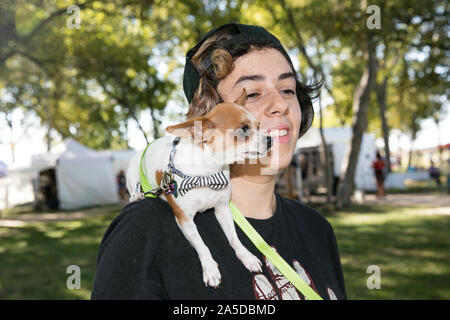 Dallas, USA. Okt, 2019 19. Ein Hund sitzt auf der Schulter eines Jungen, während ein Hund Festival in Richardson, einem Vorort von Dallas, Texas, USA, Okt. 19, 2019. Der Hund Festival am Samstag in Richardson zog viele der lokalen Bürger ihre Hunde auf den Hund Kostümwettbewerb teilnehmen Kleid. Credit: Tian Dan/Xinhua/Alamy leben Nachrichten Stockfoto