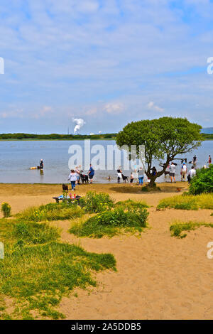 Familien genießen die Ruhe und ruhige Umgebung der Kenfig Pool, Hunde Abkühlen im Wasser. Port Talbot Stahlwerk im Abstand. Stockfoto