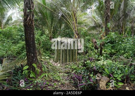 Unauffällig Palm Leaf Outhouse Stockfoto