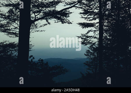 Bergblick thru dunkle Bäume in die fernen Hügel in misty Wolken im blauen Tönen von Twilight abgedeckt Stockfoto