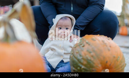 Porträt eines Jungen draußen in einer für Halloween Pumpkin Patch. Stockfoto