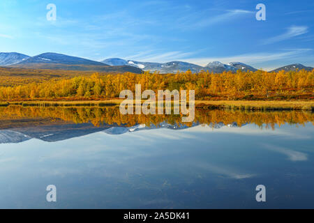 Herbst Landschaft mit gelben Blätter auf den Bäumen, Schnee auf den Bergen im Hintergrund, Sonnenschein und blauer Himmel, Bäume und Berg im Wat widerspiegelt Stockfoto