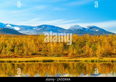 Herbst Landschaft mit gelben Blätter auf den Bäumen, Schnee auf den Bergen im Hintergrund, Sonnenschein und blauer Himmel, Bäume im Wasser widerspiegelt, Abisko n Stockfoto