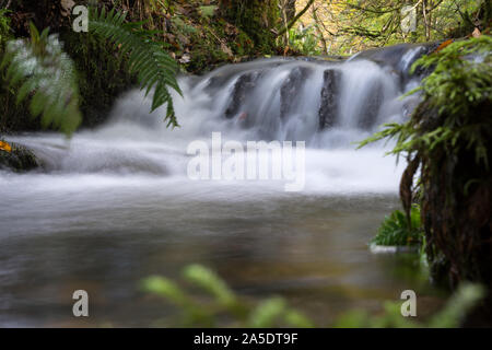 Ein kleiner Bach in den schottischen Highlands Stockfoto