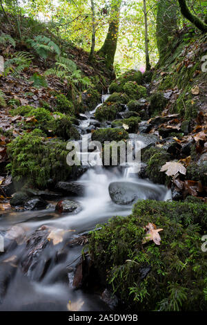 Ein kleiner Bach in den schottischen Highlands Stockfoto