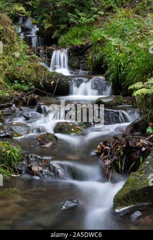 Ein kleiner Bach in den schottischen Highlands Stockfoto