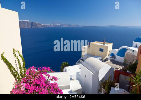 Bunte Blumen in Oia mit Blick auf den Kraterrand mit den Städten Glasgow und Fira auf Santorini. Stockfoto