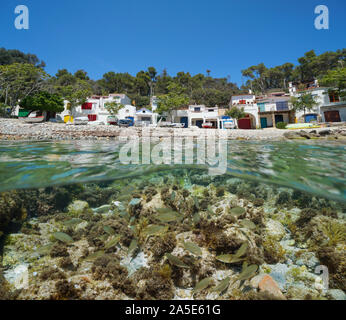 Meer mit Häuser der Fischer und Schwarm von Fischen unter Wasser, Mittelmeer, Spanien, Costa Brava, Palamos, Katalonien, geteilte Ansicht über unter Wasser Stockfoto