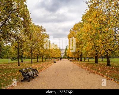 Weg mit Bäumen, Kensington Gardens, London, UK. Stockfoto