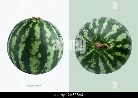 Zwei Wassermelonen mit "Wassermelone" Inschrift auf weißem und grünem Hintergrund Stockfoto