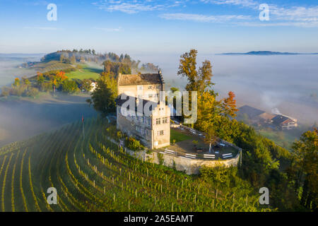 Luftbild des Schweizerischen mittelalterlichen Schloss Schwandegg auf einem Hügel mit Weinbergen in einem warmen sunrise Licht. Eine misty nebligen Tal im Hintergrund. Walt Stockfoto