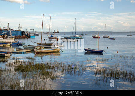 Leigh-on-Sea, Essex, England, Oktober 2019, kleine Ruderboote in seichtem Wasser. Stockfoto