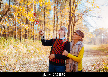 Herbst Spaziergang. Senior Paar im Herbst park Natur bewundern. Glücklich der Mann und die Frau zu reden und Entspannen im Freien Stockfoto