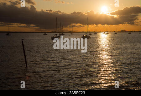 Schönen goldenen Sonnenuntergang am Badeort, Leigh-on-Sea, Essex, England Stockfoto