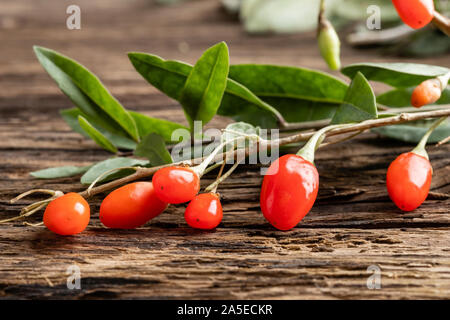 Ein Zweig mit Goji Beeren auf einem Tisch Stockfoto