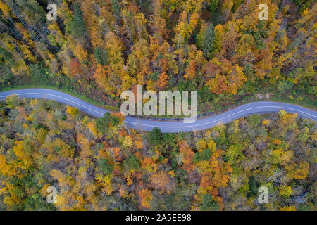 Drone top Aussicht über den Weg in die Landschaft Herbst bend Pinienwald Stockfoto