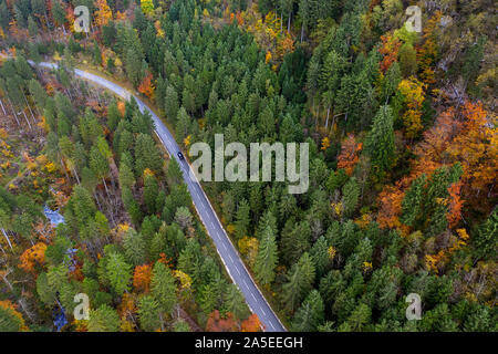 Drone top Aussicht über den Weg in die Landschaft Herbst bend Pinienwald Stockfoto