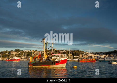 Fischerboote und andere Schiffe im äußeren Hafen von Brixham. Brixham ist die Heimat einer großen Flotte von Fischereifahrzeugen und einen Fischmarkt. Devon E Stockfoto