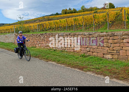 HUNAWIHR, Frankreich, 13. Oktober, 2019: Eine Frau ist Radfahren auf eine kleine Straße, die Winde durch die Weinberge des Elsass. Stockfoto