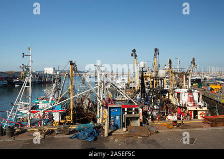 Fischerboote im Hafen von Brixham. Brixham ist die Heimat einer großen Fischereiflotte und Fischmarkt. Devon England UK GB Stockfoto