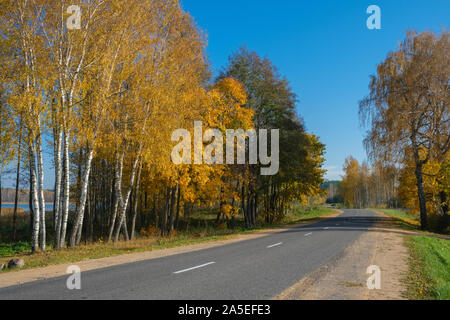 Herbst Szene mit der Straße in den Wald in der Nähe von See. Braslav, Belarus. Stockfoto