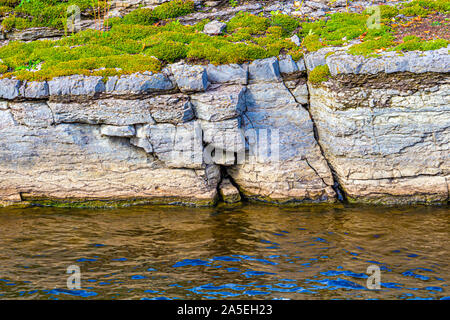 Eine gerissene Kante der Felsen hat bemoosten Vegetation wächst auf es, etwa ein Meter über seine Entstehung von Flusswasser. Stockfoto